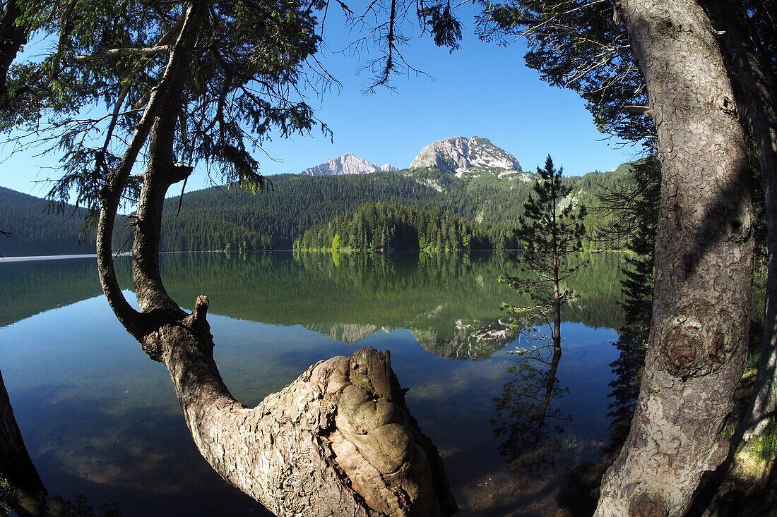at Schwarzsee in Durmitor National Park near Zabljak, Montenegro