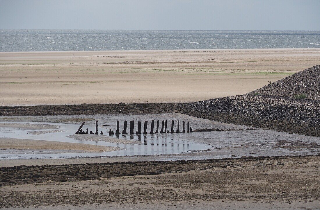 Watt vor Föhr, Nationalpark Wattenmeer, Nordfriesland, Nordseeküste, Schleswig-Holstein