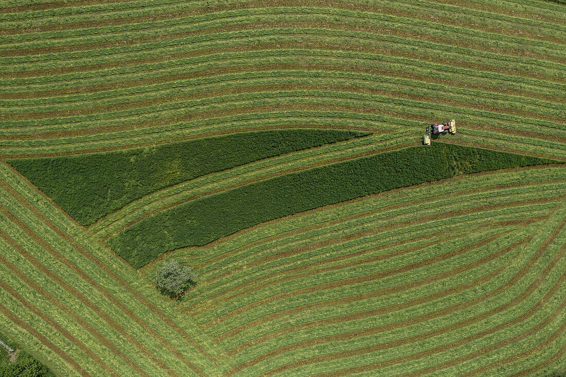 Traktor ernten Linienmuster in grüner Heuernte, Auvergne, Frankreich, Luftaufnahme
