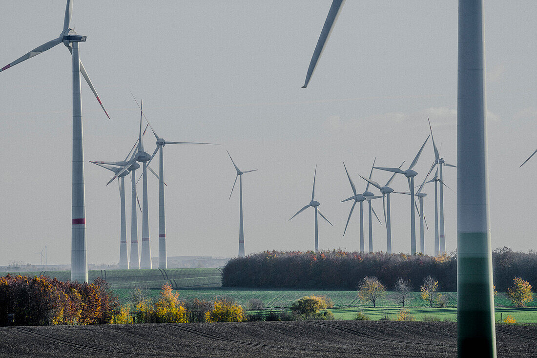 Wind turbines in idyllic rural countryside field, Saxony-Anhalt, Germany