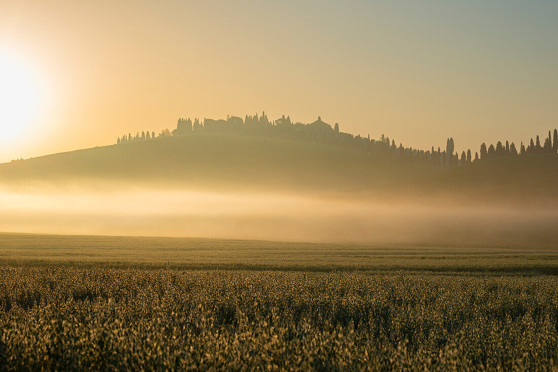 Sunrise in the Crete Senesi, Province of Siena, Tuscany, Italy, Europe