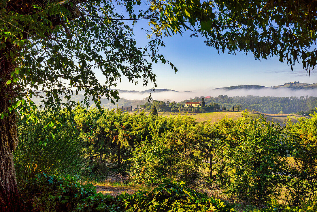 Farmhouse in Tuscany in autumn morning light, Province of Grosseto, Tuscany, Italy