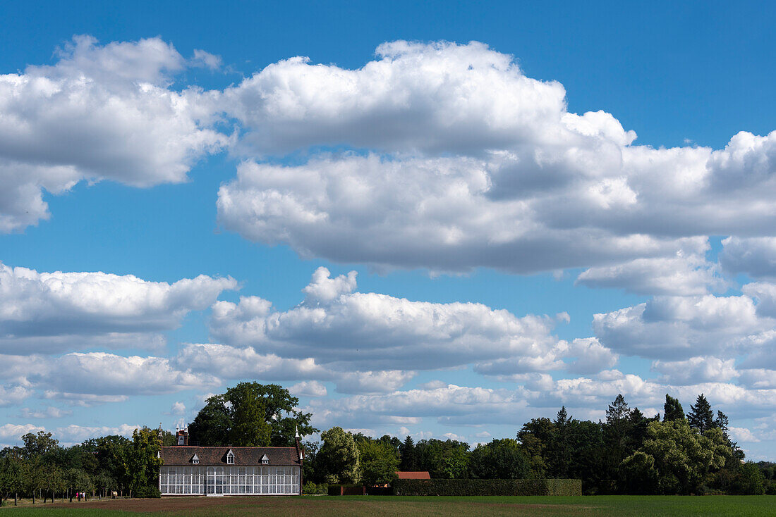Weiße Wolken, Palmenhaus, Gartenreich Dessau-Wörlitz, Wörlitzer Park, Unesco-Welterbe, Wörlitz, Sachsen-Anhalt, Deutschland