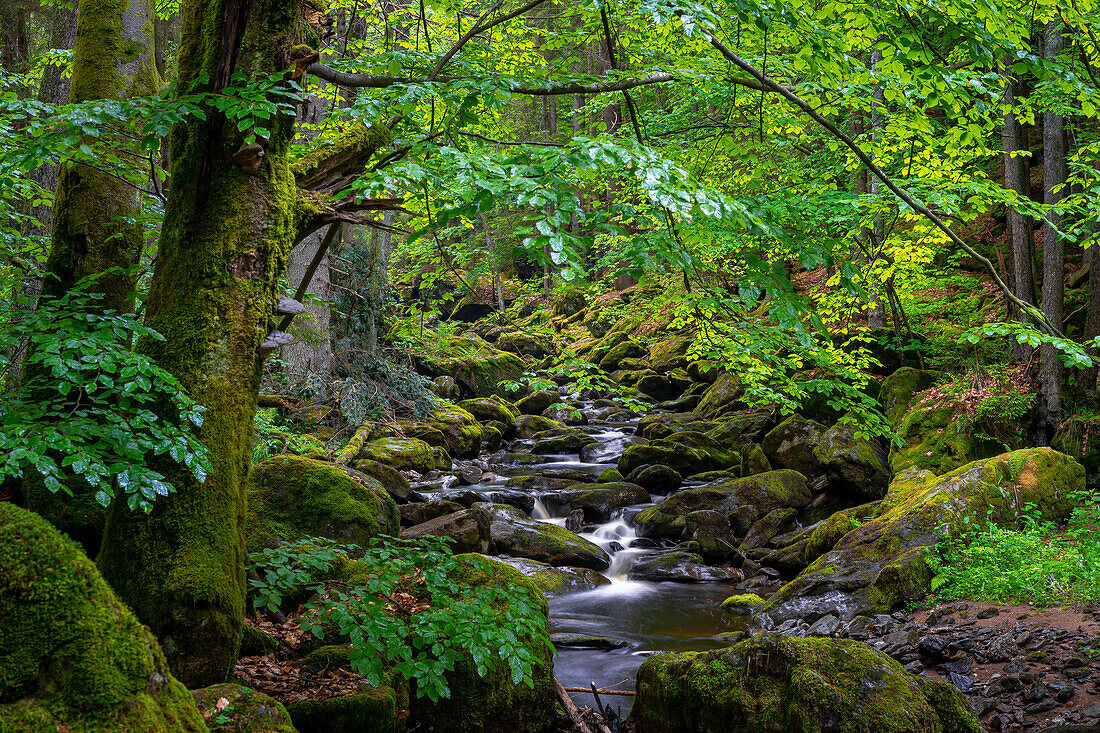 In the Steinklamm, Bavarian Forest, Lower Bavaria, Germany, Europe