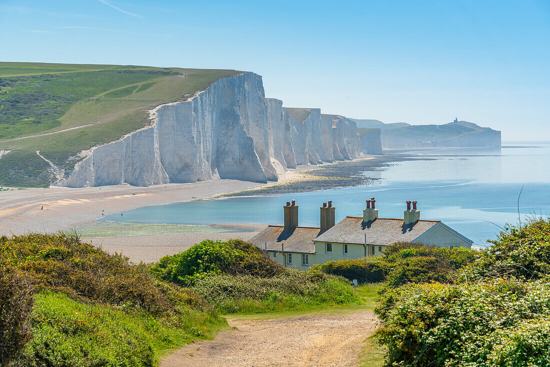 View of Seven Sisters Chalk Cliffs and Coastguard Cottages at Cuckmere Haven, South Downs National Park, East Sussex, England, United Kingdom, Europe