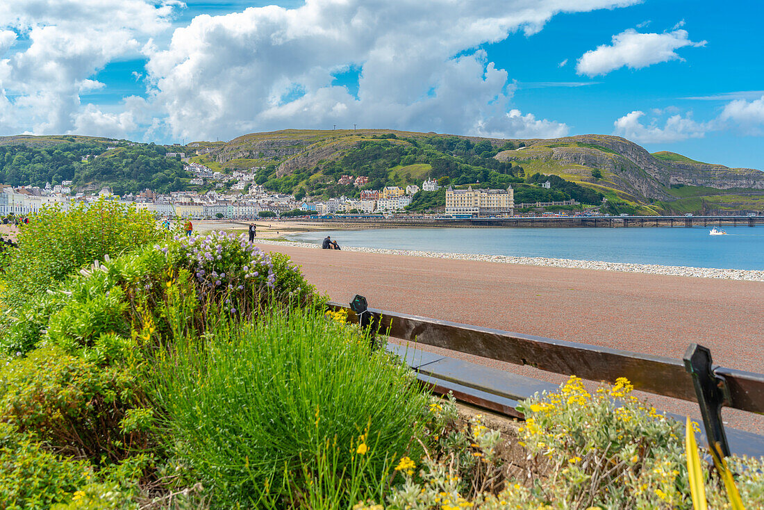 Blick auf Llandudno Pier und Great Orme im Hintergrund von Promenade, Llandudno, Conwy County, North Wales, Vereinigtes Königreich, Europa