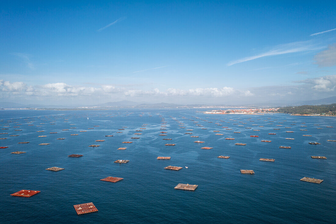 Fischfarm, Drohnen-Panoramablick, im Atlantischen Ozean, Insel Arousa, Galizien, Spanien, Europa