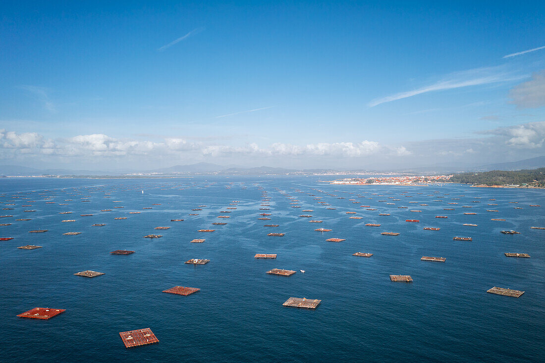 Fish farm, drone panorama view, in the Atlantic Ocean, Arousa Island, Galicia, Spain, Europe