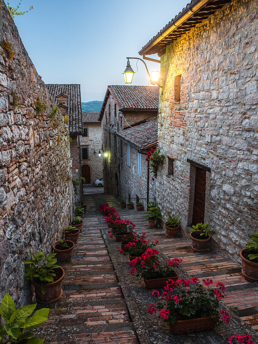 Eine bunte Gasse voller Blumen zur blauen Stunde in Gubbio, Umbrien, Italien, Europa