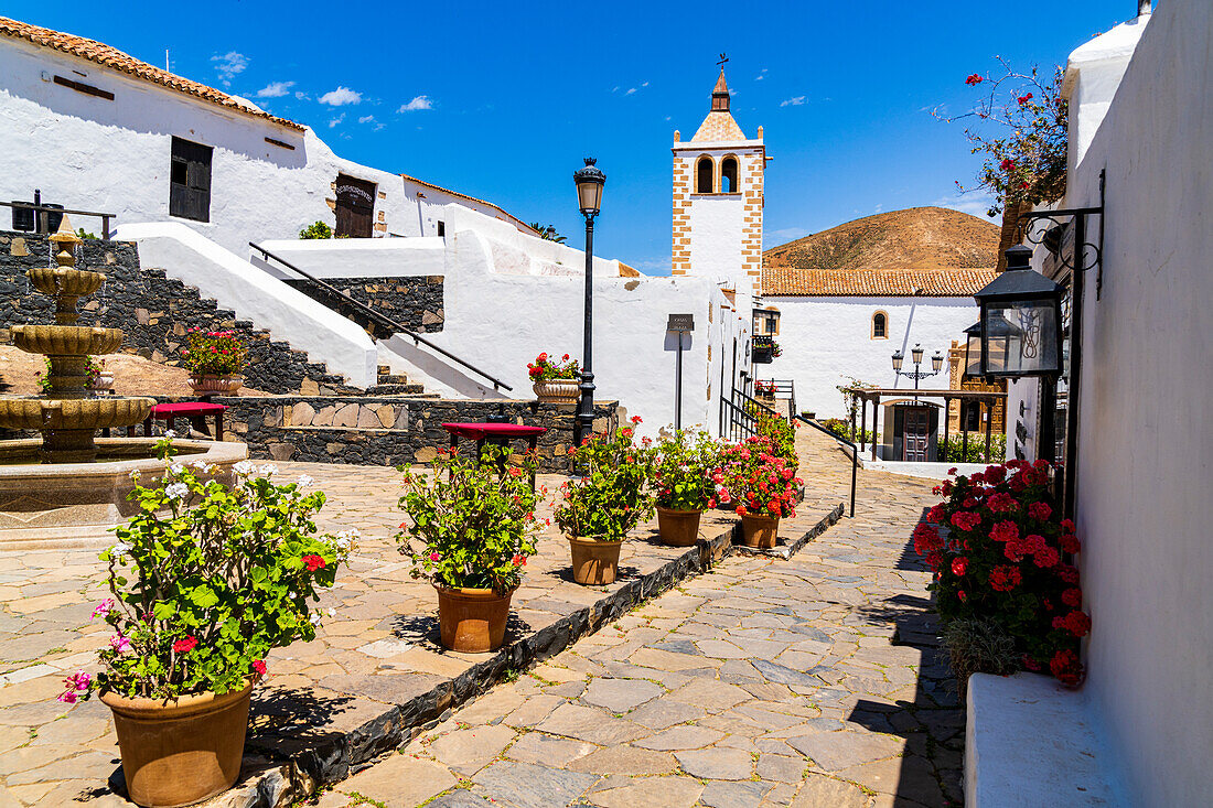 Colorful flowers framing Santa Maria cathedral church in the old town of Betancuria, Fuerteventura, Canary Islands, Spain, Atlantic, Europe