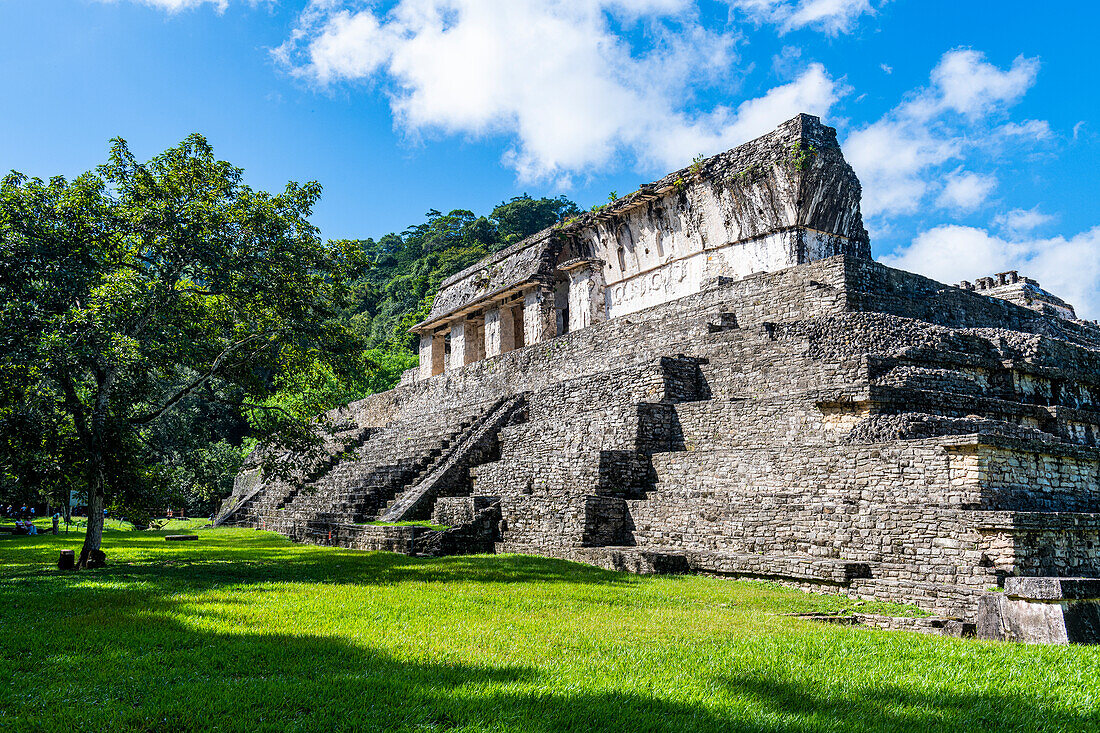 The Maya ruins of Palenque, UNESCO World Heritage Site, Chiapas, Mexico, North America