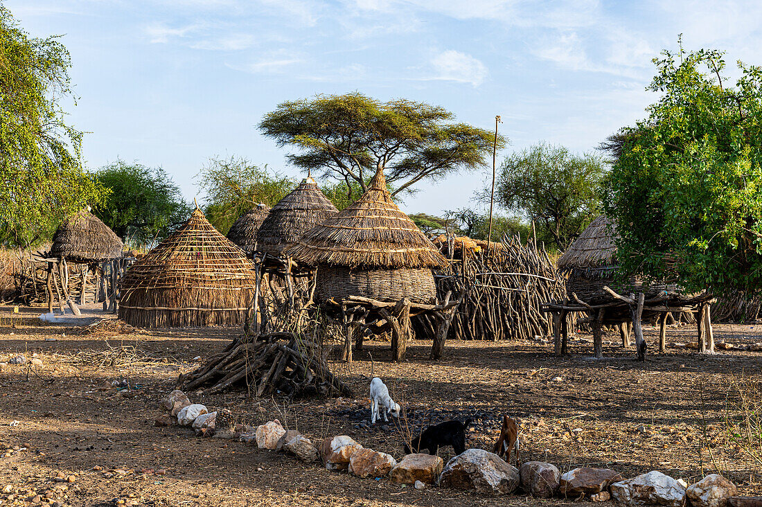 Traditionelle Dorfhütten des Stammes Toposa, Eastern Equatoria, Südsudan, Afrika