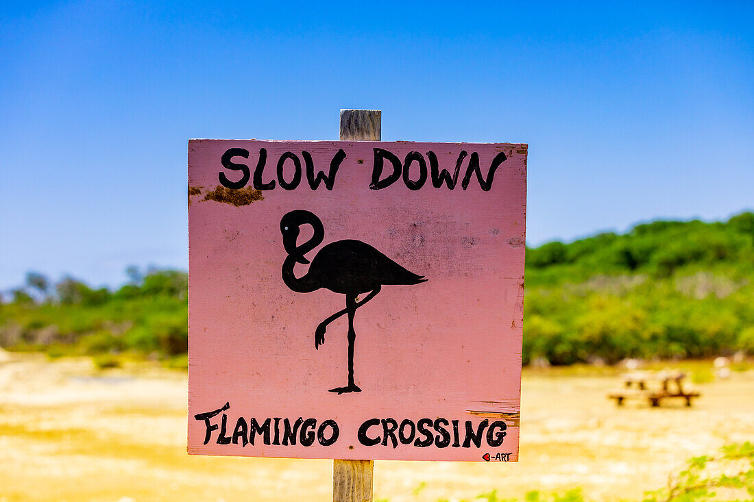 Verlangsamen Sie Flamingo Kreuzung Zeichen, Bonaire, Niederländische Antillen, Karibik, Mittelamerika