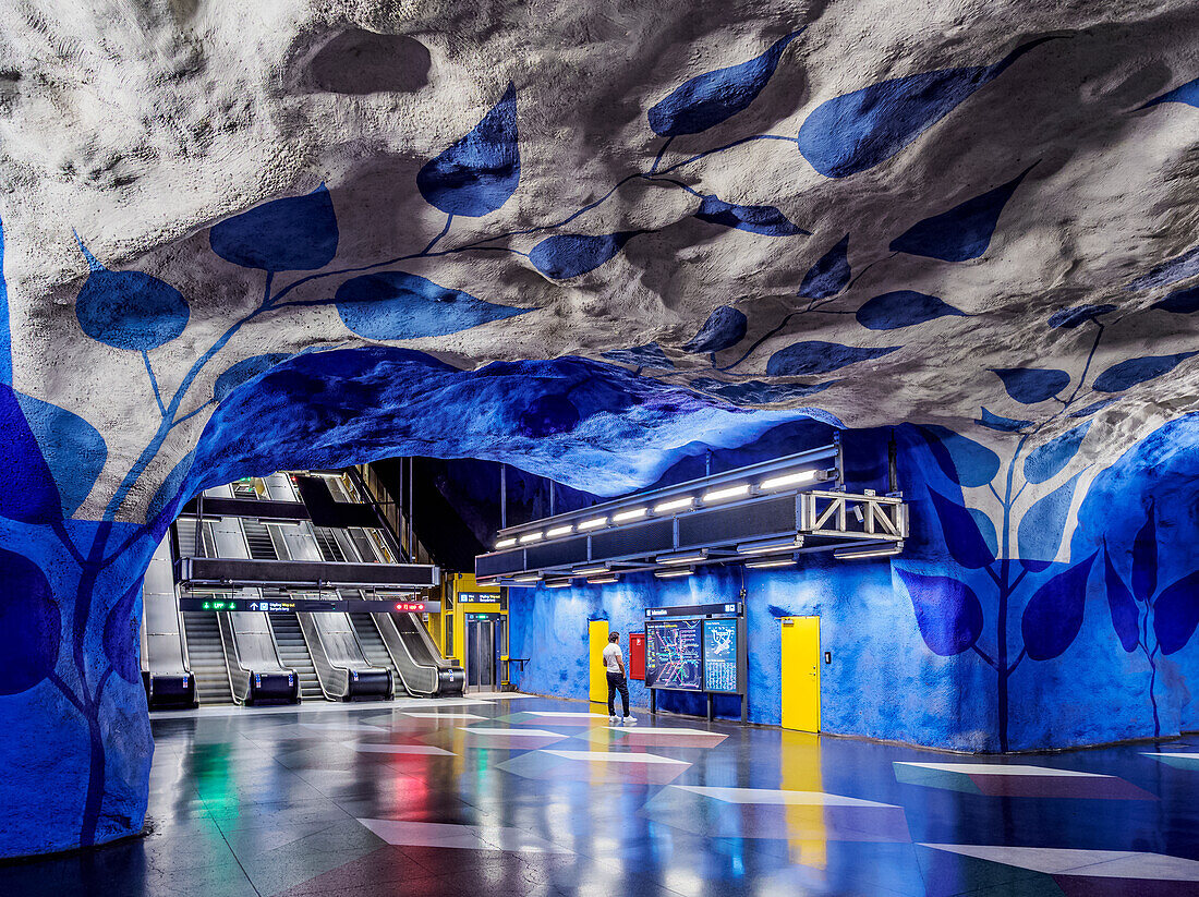 U-Bahnhof T-Centralen, Stockholm, Stockholms län, Schweden, Skandinavien, Europa
