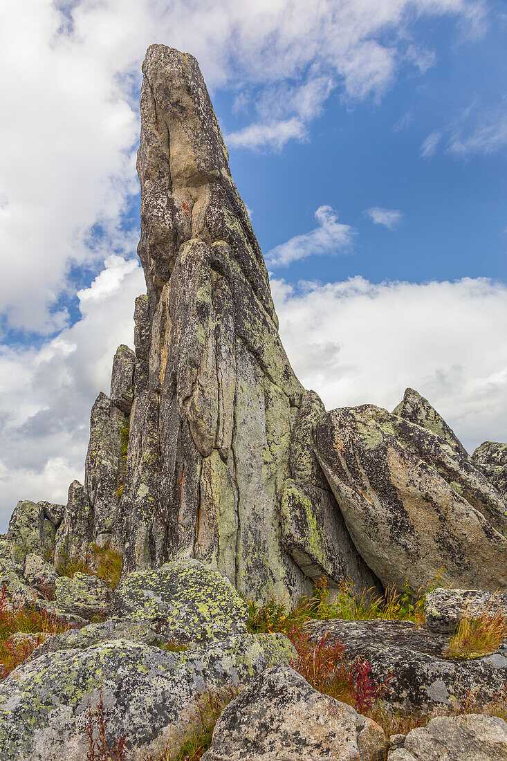 USA, Alaska, Finger Rock. Tor outcropping of rock