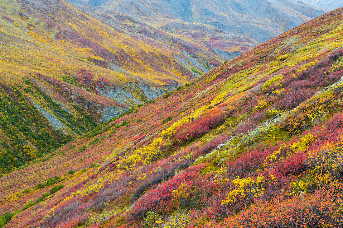 USA, Alaska, Brooks Range. Tundra on mountain landscape