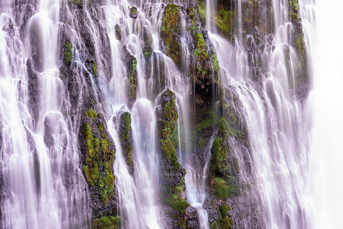 USA, California, McArthur-Burney Falls State Park. Burney Creek waterfall and  ferns.