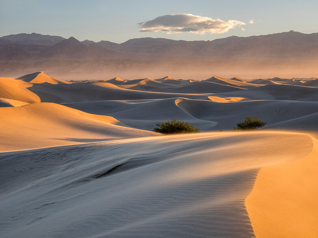 USA, Kalifornien. Death Valley Nationalpark, flache Sanddünen von Mesquite.