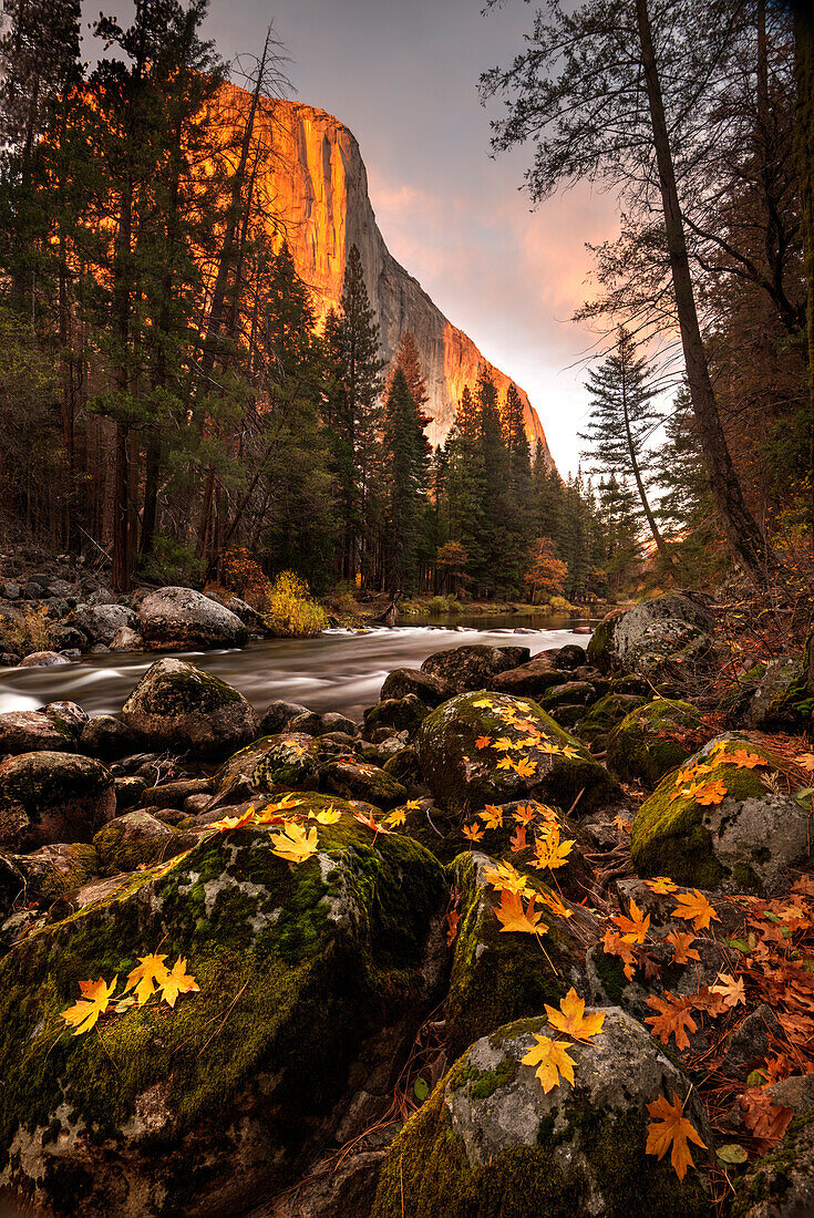 Fallen Sie entlang des Merced River im Yosemite-Nationalpark, Kalifornien