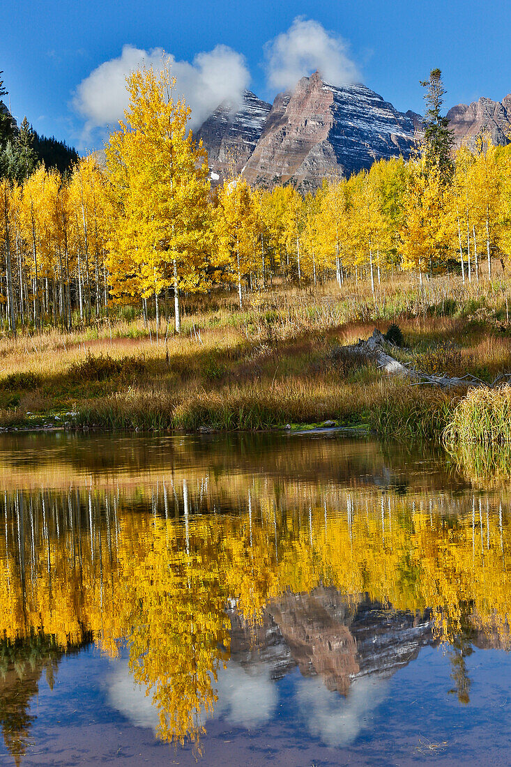 Sunrise, Maroon Bells Herbstfarben auf Espen mit Teichreflexion.