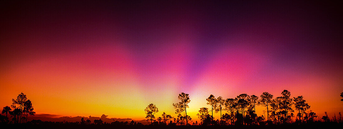 Strahlen der Morgendämmerung entlang des Highway 41, Florida