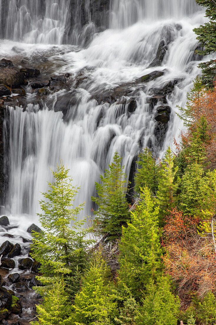 Undine Falls, Yellowstone-Nationalpark, Montana, USA