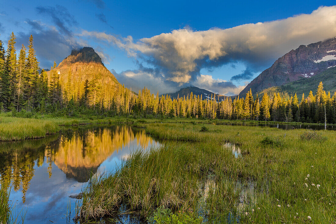 Sinopah Mountain reflects in beaver pond in Two Medicine Valley in Glacier National Park, Montana, USA
