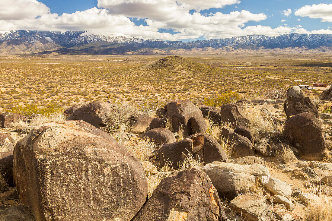 USA, New Mexico, Three Rivers Petroglyph Site. Petroglyphs on boulder and snowy Sacramento Mountains