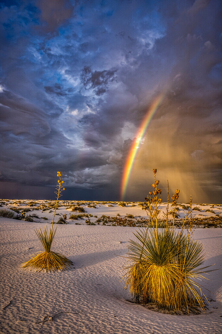 USA, New Mexico, White-Sands-Nationalpark. Gewitterregenbogen über Wüste.