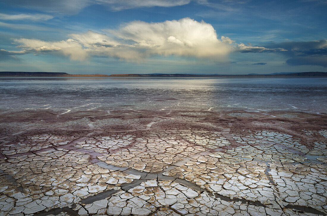 Geometrische Muster in trocknendem Schlamm, Alvord Lake, einem saisonalen flachen Alkalisee in Harney County, Oregon