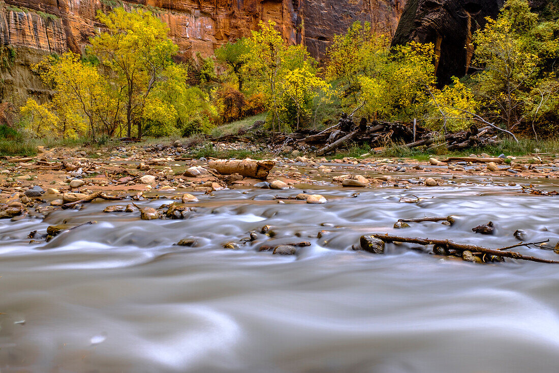 USA, Utah. Zion National Park, fall colors, water