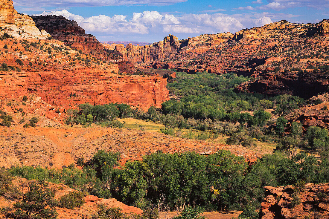 Escalante River Aussichtspunkt, Grand Staircase-Escalante National Monument, Utah