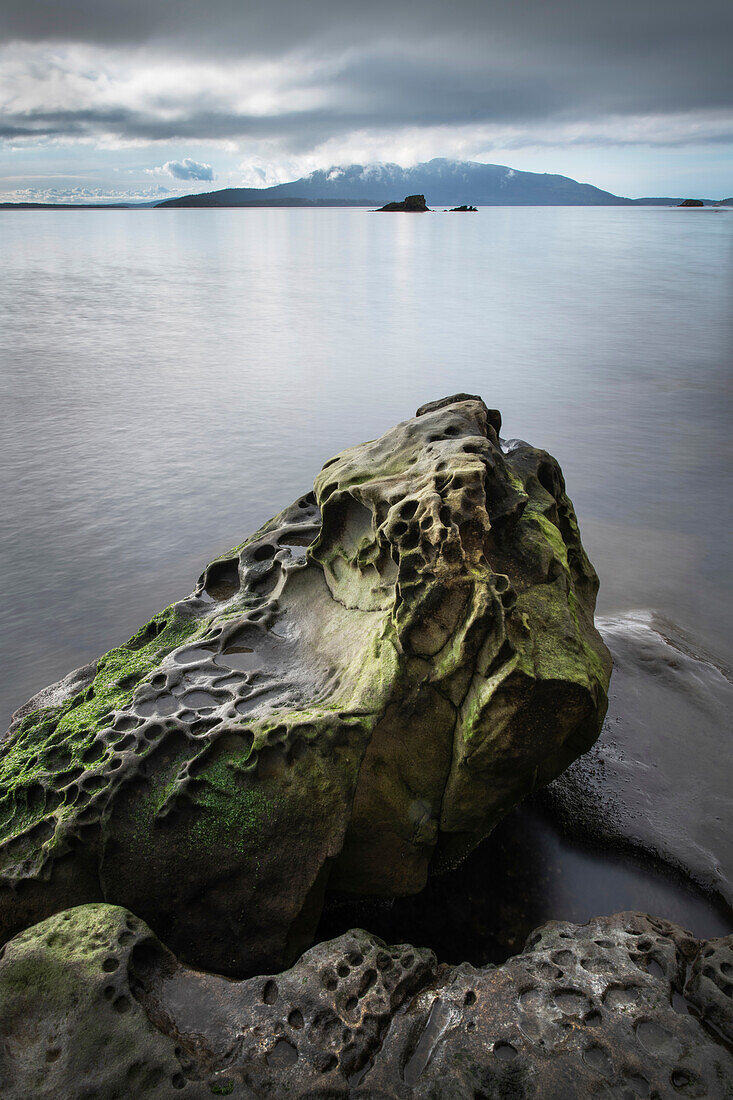 Samish Bay Wildcat Cove Larrabee State Park, Washington State.