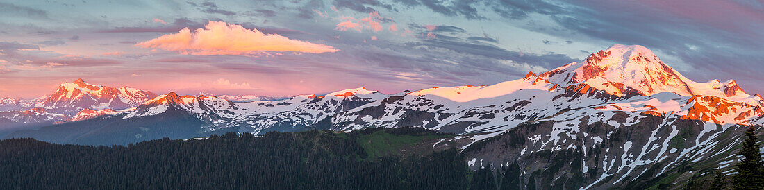 USA, Washington State. Panorama of Mt. Shuksan to Mt. Baker from Skyline Divide at sunset.