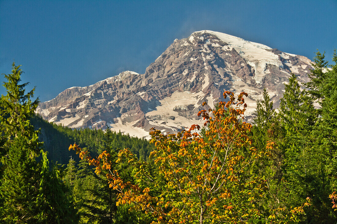 Mount Rainier von Longmire, Mount-Rainier-Nationalpark, US-Bundesstaat Washington