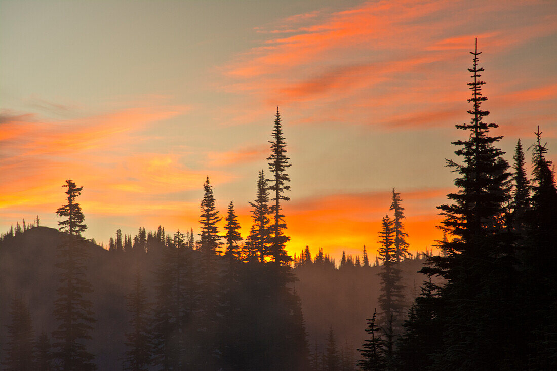 Nebeliger Sonnenaufgang, Reflection Lakes Area, Mount-Rainier-Nationalpark, Washington State, USA
