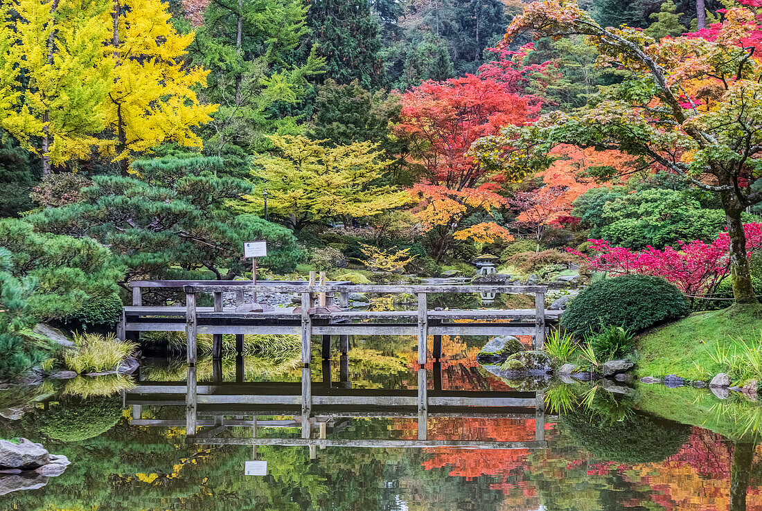 Staat Washington, Seattle. Herbstfärbung, Japanischer Garten