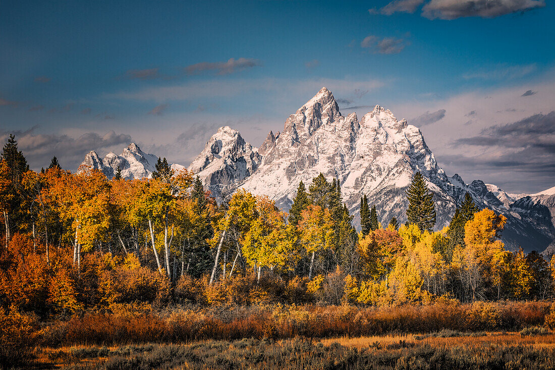 Autumn view of aspens and Teton Range, Grand Teton National Park, Wyoming