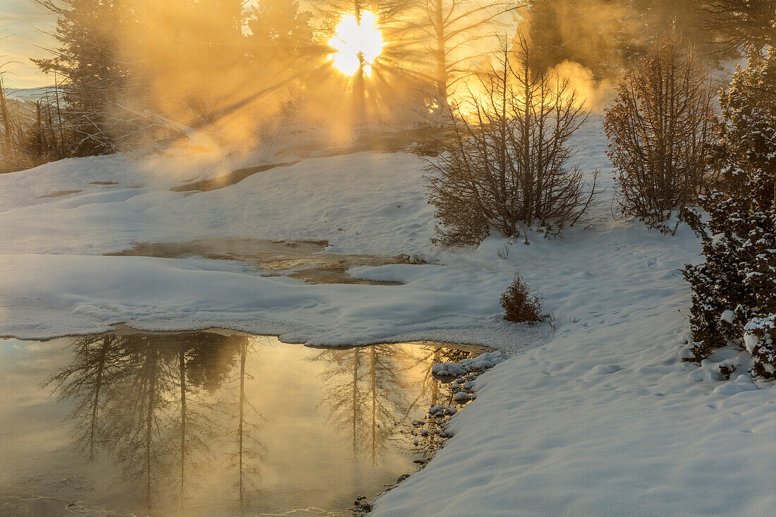 Sunrise greets Grassy Spring at Mammoth Hot Springs in Yellowstone National Park, Wyoming, USA