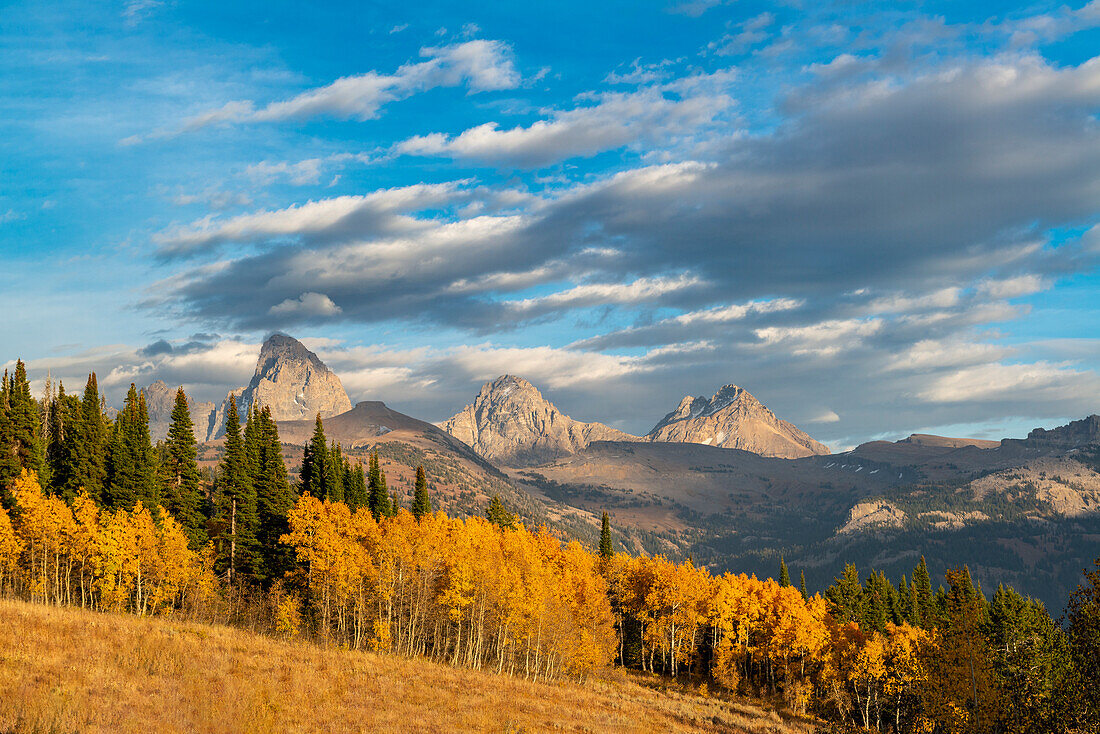 Landschaft von Mt. Owen, Grand Teton, Middle und South Teton, goldenes Herbstlaub, von Westen in der Nähe von Targhee Ski Resort und Jackson Hole, Wyoming