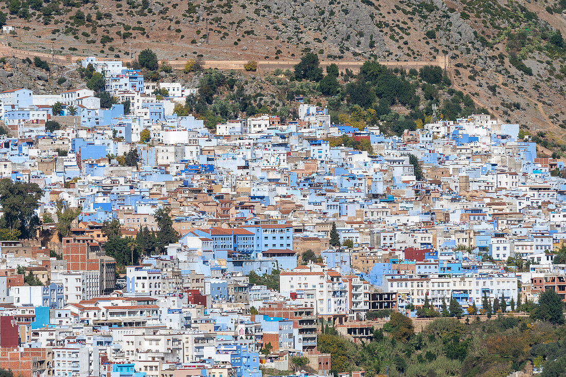 Africa, Morocco, Chefchaouen. Overview of town.