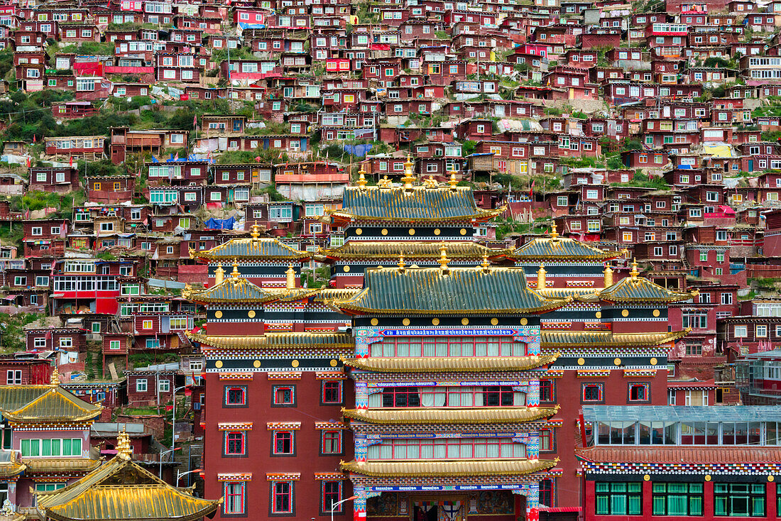 Seda Larung Wuming, das weltweit größte tibetisch-buddhistische Institut, Tempel mit roten Blockhütten, die von Mönchen und Nonnen bewohnt werden und den Berghang bedecken, Garze, Provinz Sichuan, China