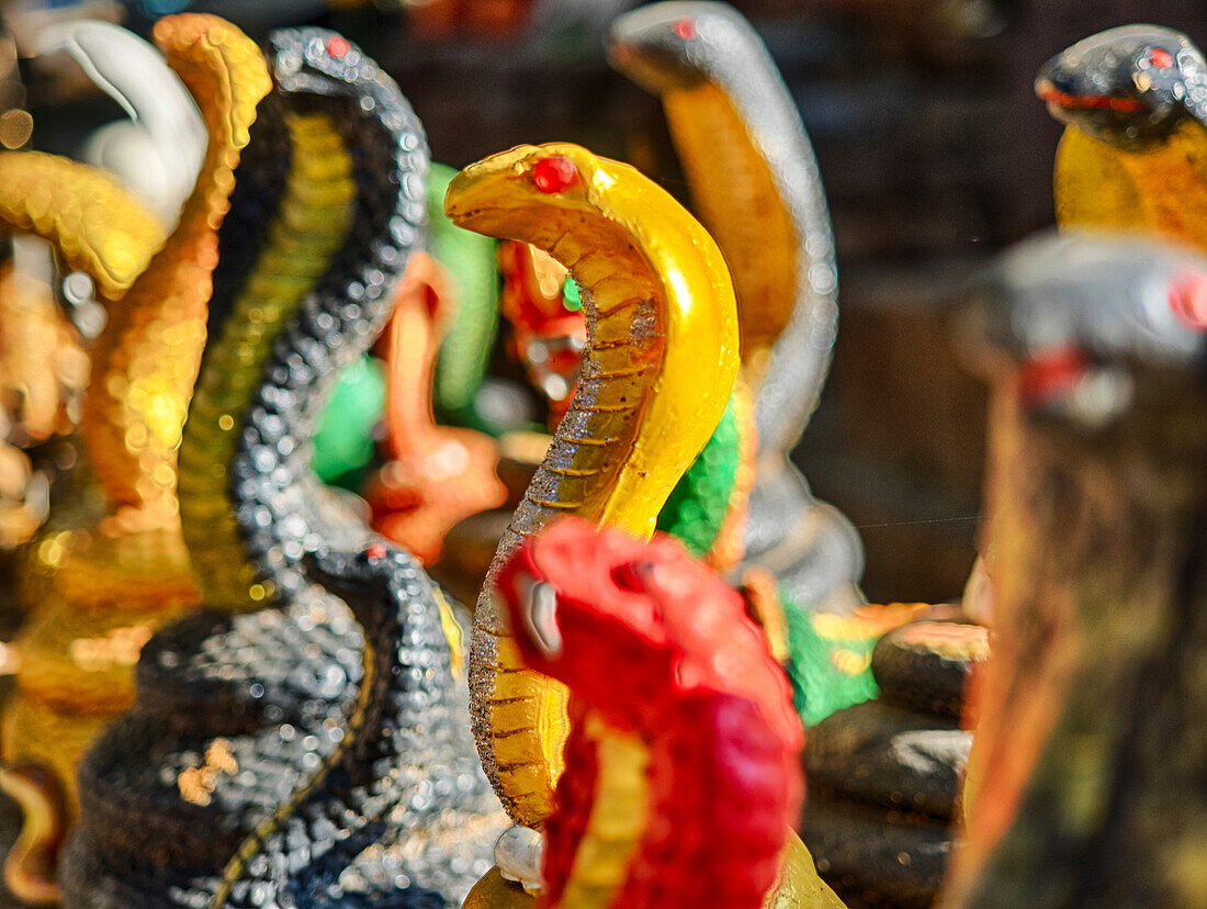 South East Asia; Thailand; Chiang Mai; Cobra Snake replica display