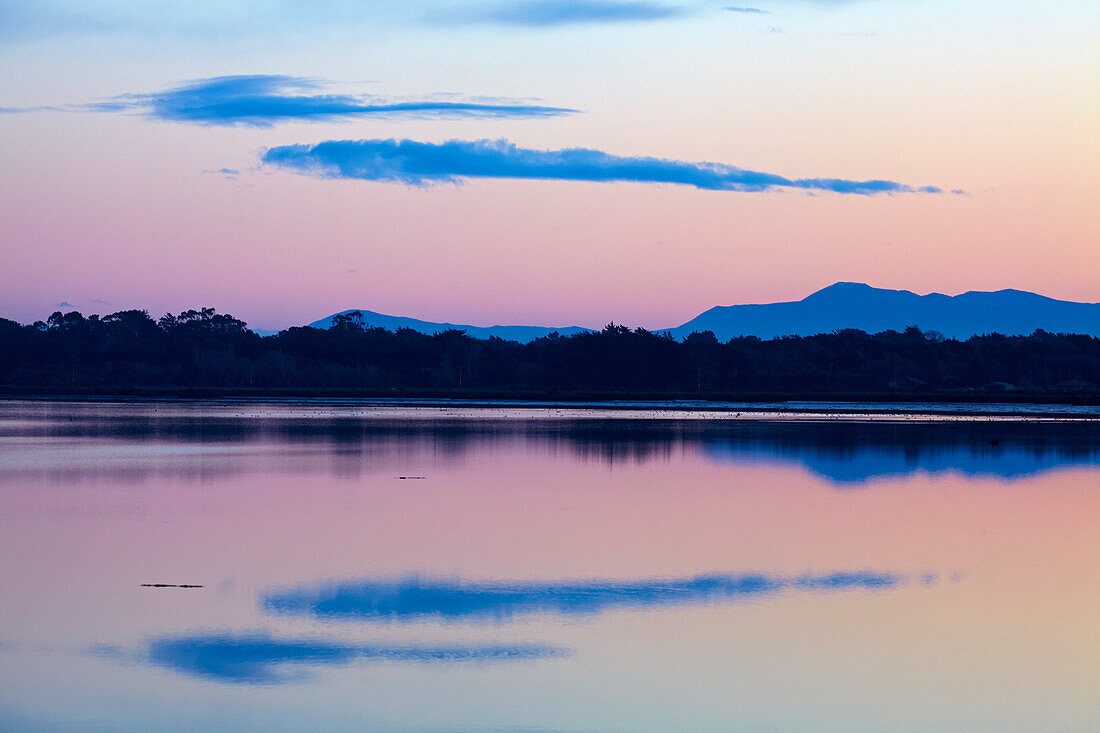 Spiegelungen im Mündungsgebiet des New River in der Abenddämmerung, Invercargill, Südland, Südinsel, Neuseeland