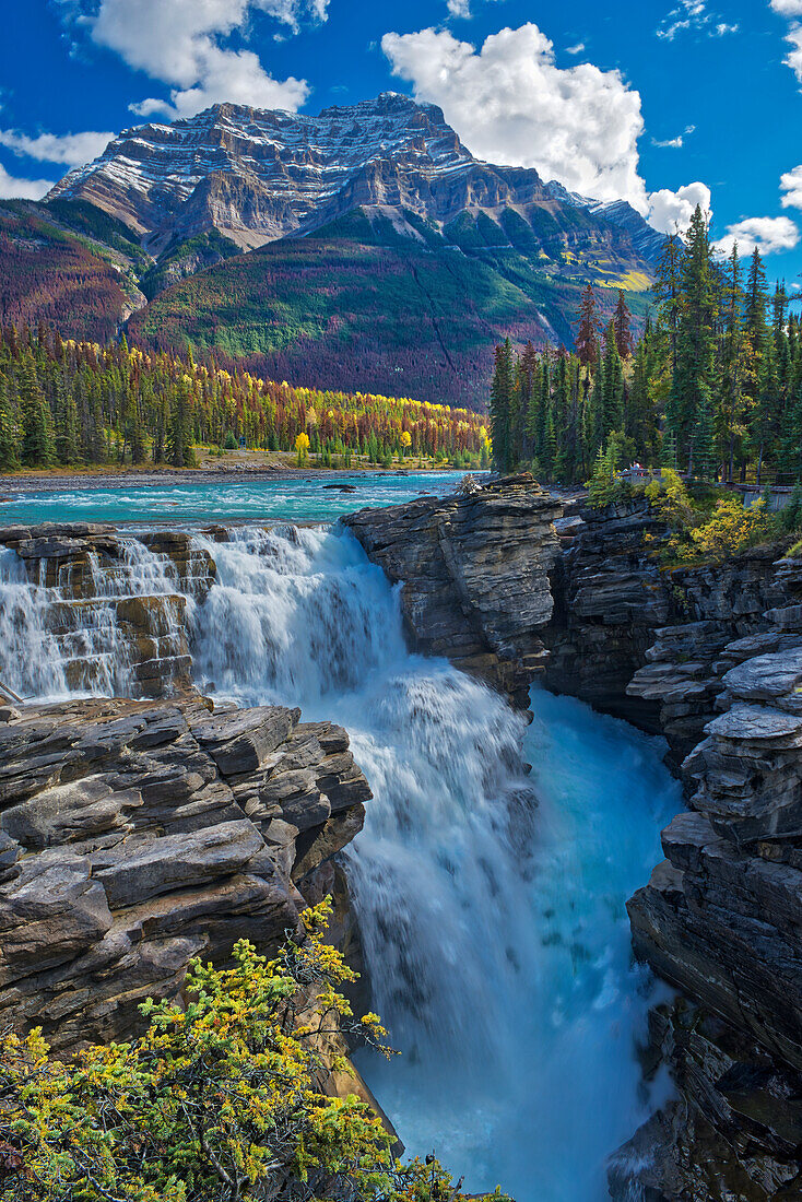 Kanada, Alberta, Jasper-Nationalpark. Athabasca-Fluss bei den Athabasca-Fällen.
