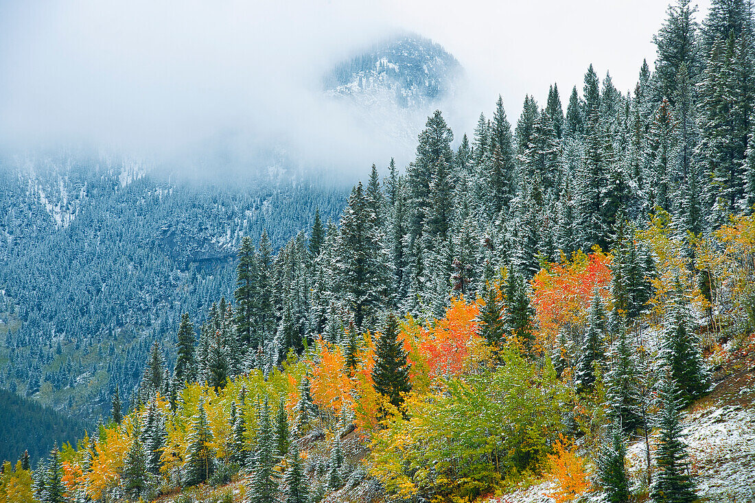 Kanada, Alberta. Nebel in den kanadischen Rocky Mountains.