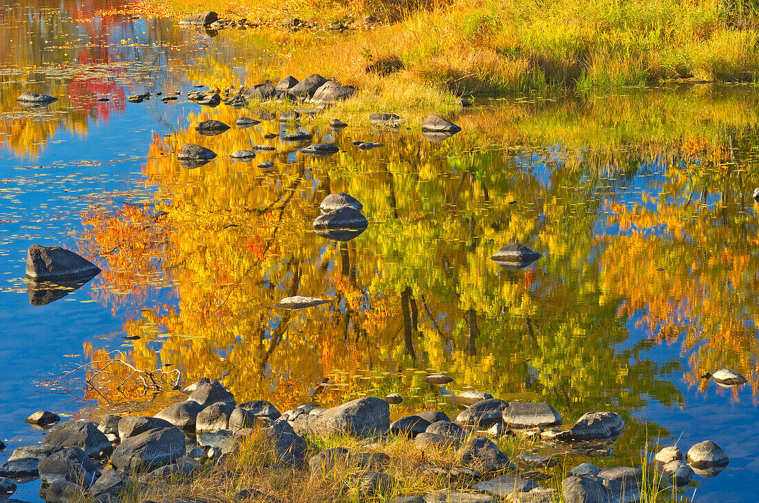 Kanada, Ontario, Weißfisch. Herbstfarben spiegeln sich im Vermilion River.