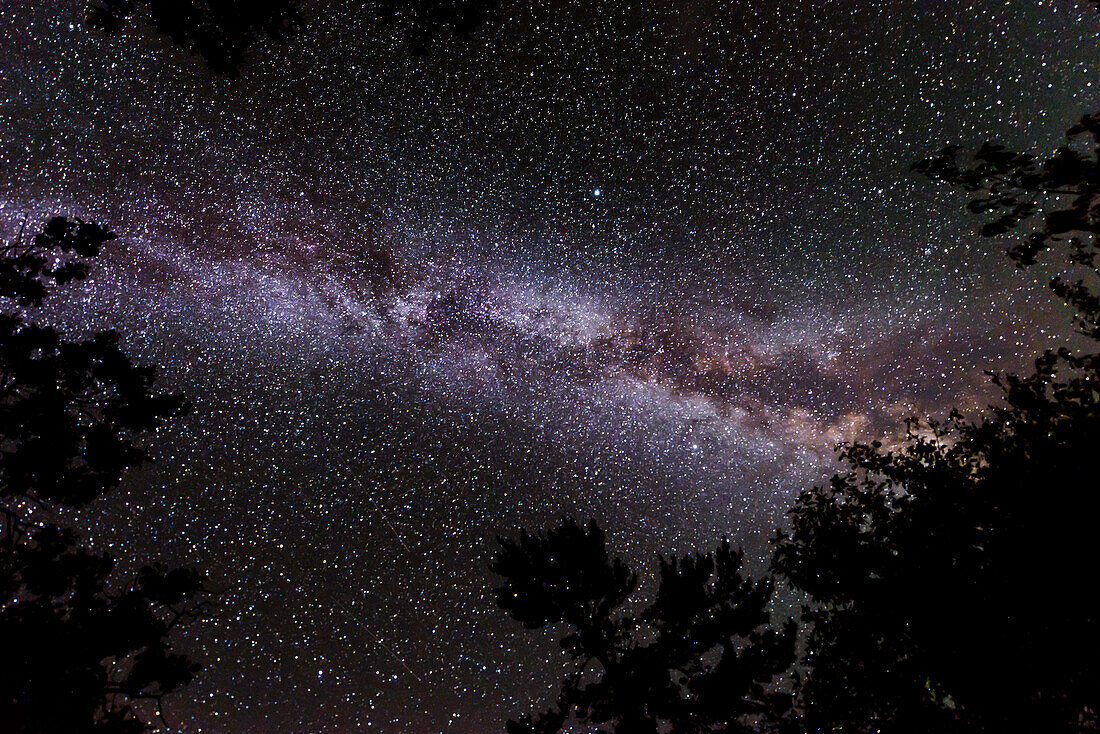 Kanada, Ontario, Sioux Narrows Provincial Park, Nachthimmel mit Milchstraße.