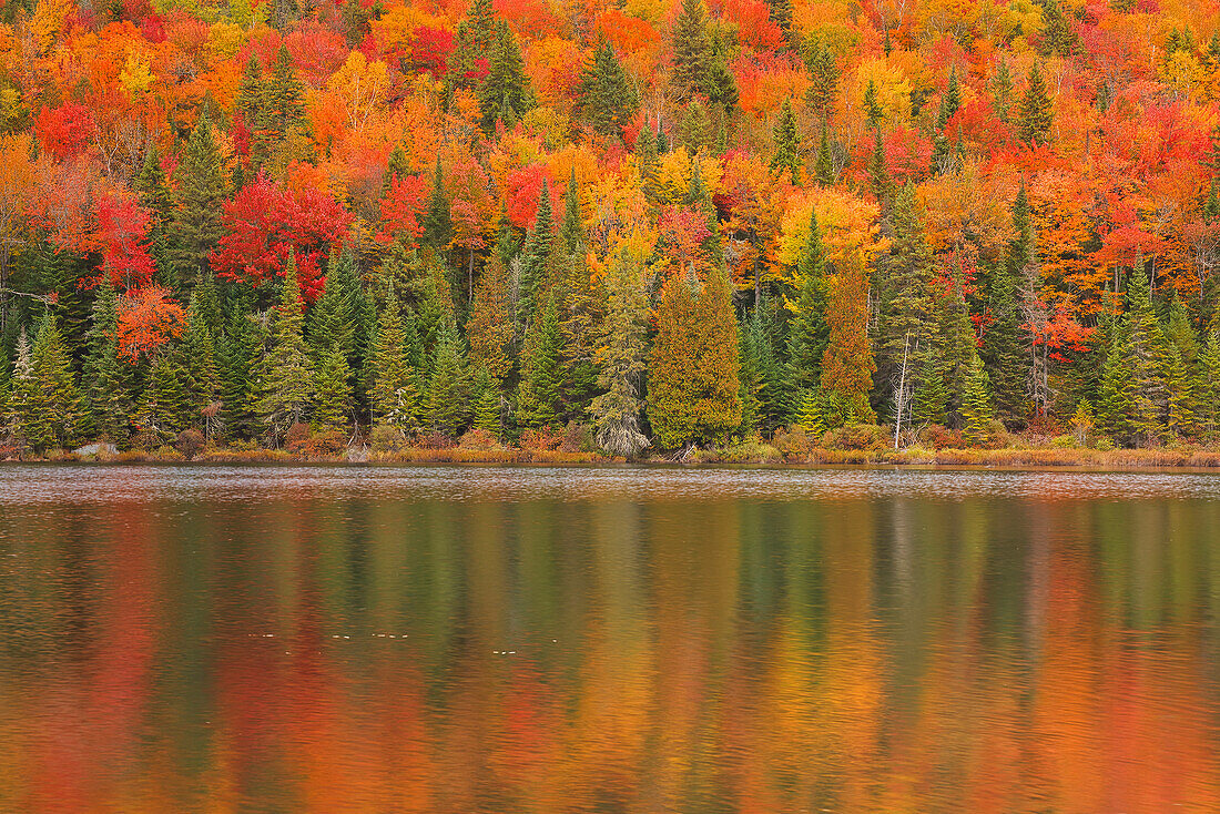 Canada, Quebec, La Mauricie National Park. Autumn colors reflected in Lac à Sam.