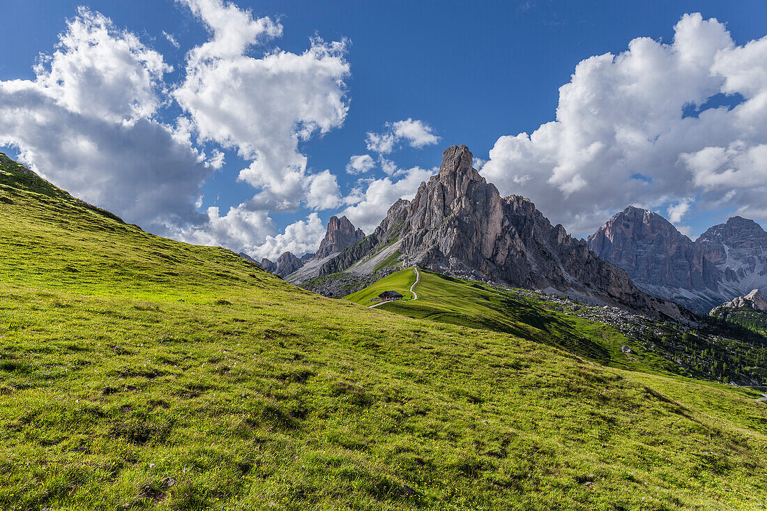Italy, Dolomites, Giau Pass. Mountain meadow.